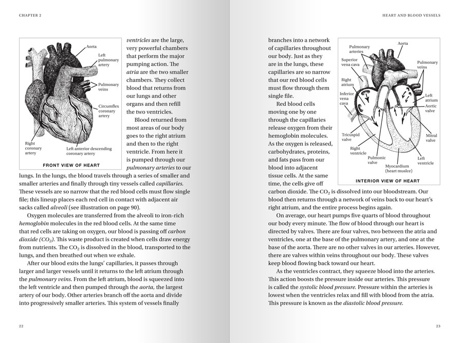 Sample of a spread layout